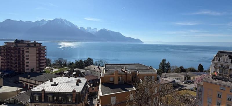 Magnificent 4-room apartment with mountain views in Territet (1)