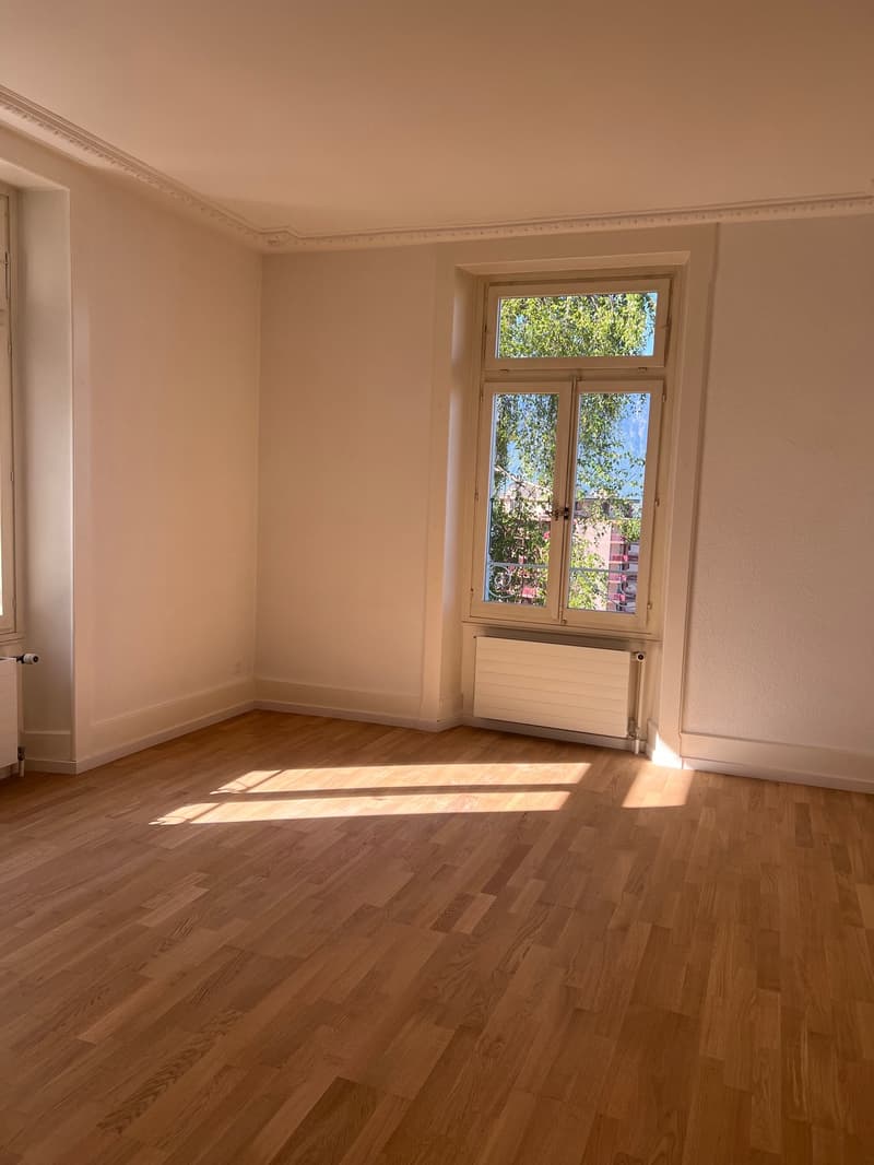 Magnificent 4-room apartment with mountain views in Territet (4)
