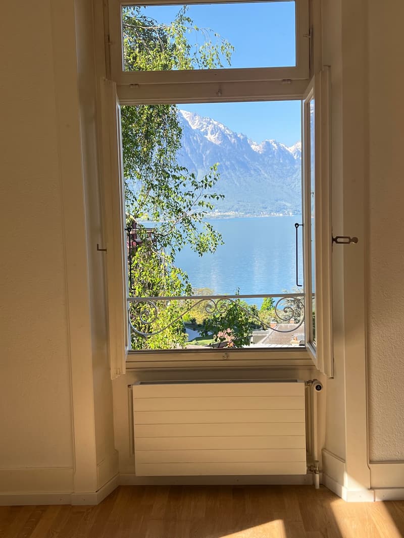 Magnificent 4-room apartment with mountain views in Territet (3)