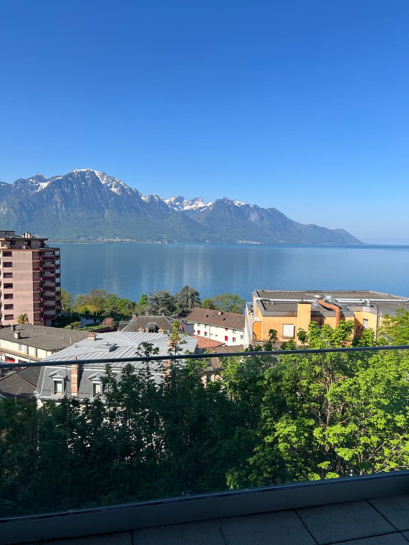 Magnificent 4-room apartment with mountain views in Territet (7)
