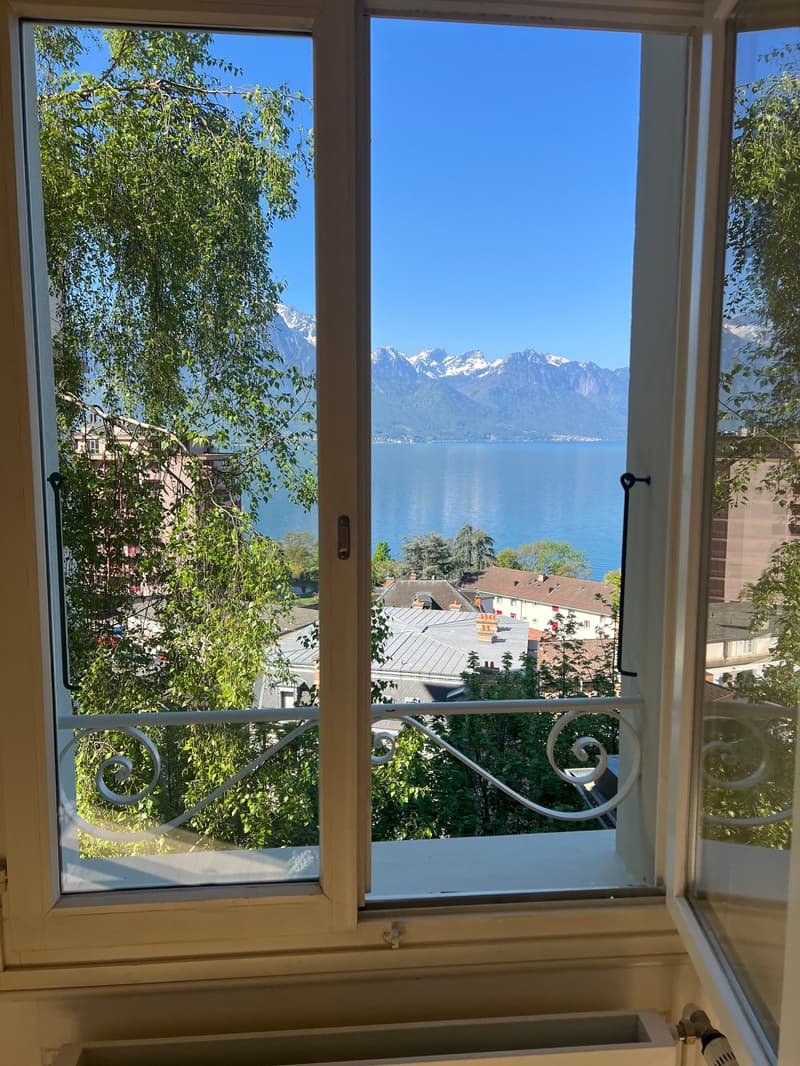 Magnificent 4-room apartment with mountain views in Territet (5)