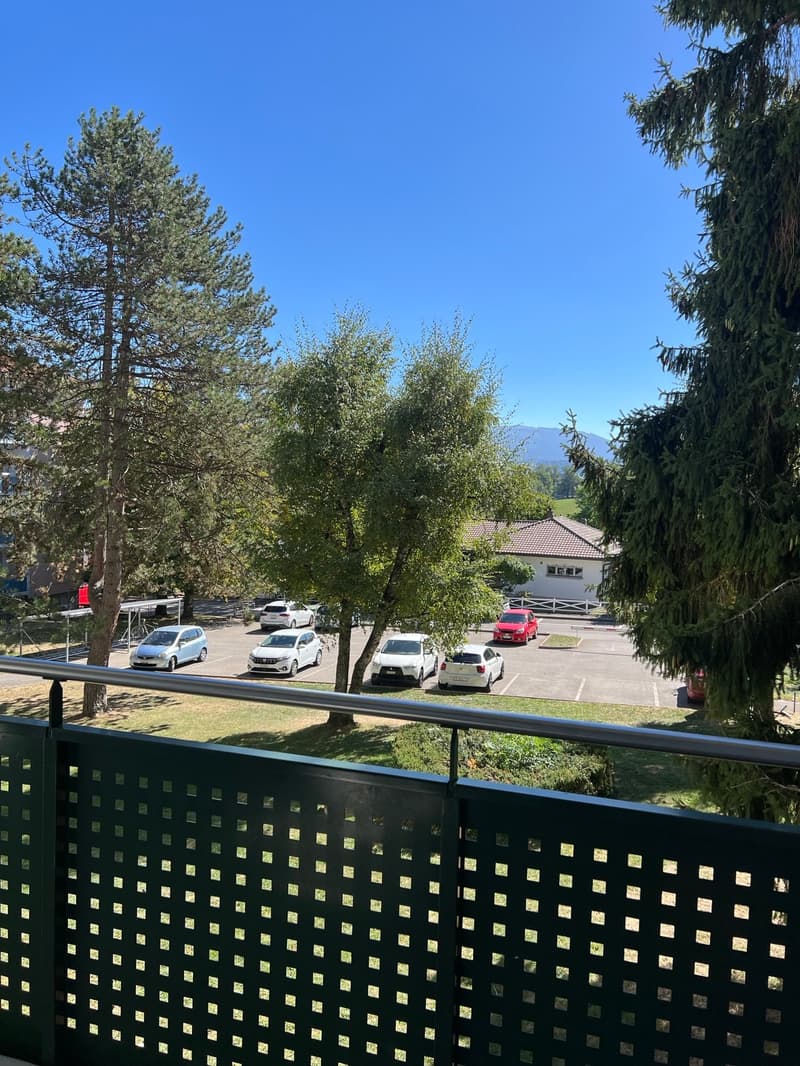 Appartement de 4 pièces avec balcon à Fribourg (4)