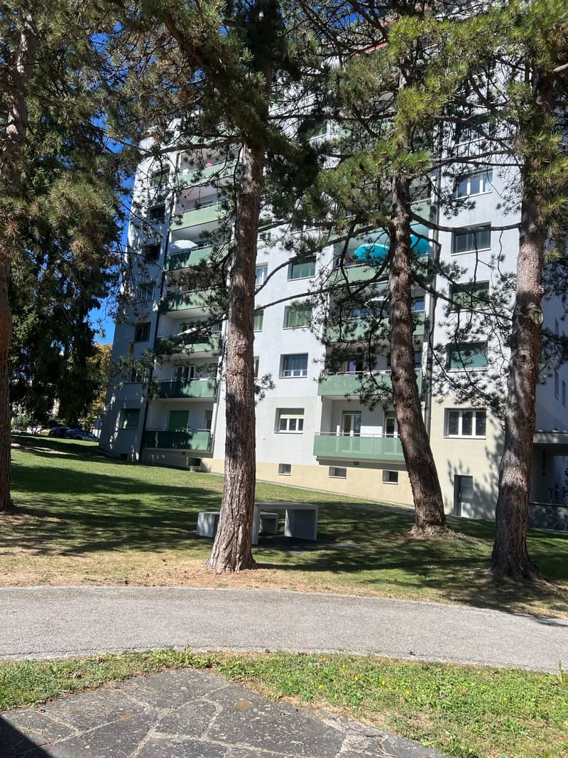 Appartement de 4 pièces avec balcon à Fribourg (3)