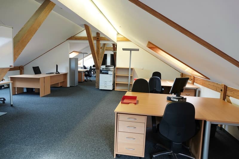 Large furnished open-space with conference room (2)