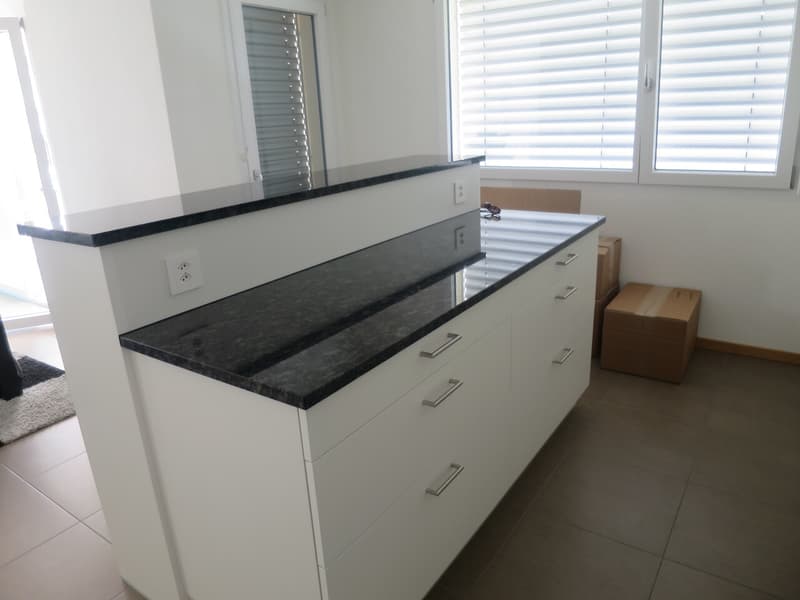 4,5 locali con grande terrazza a Courtepin (4)