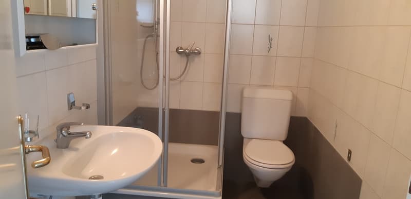 Ampio appartamento di 1 stanza (7)