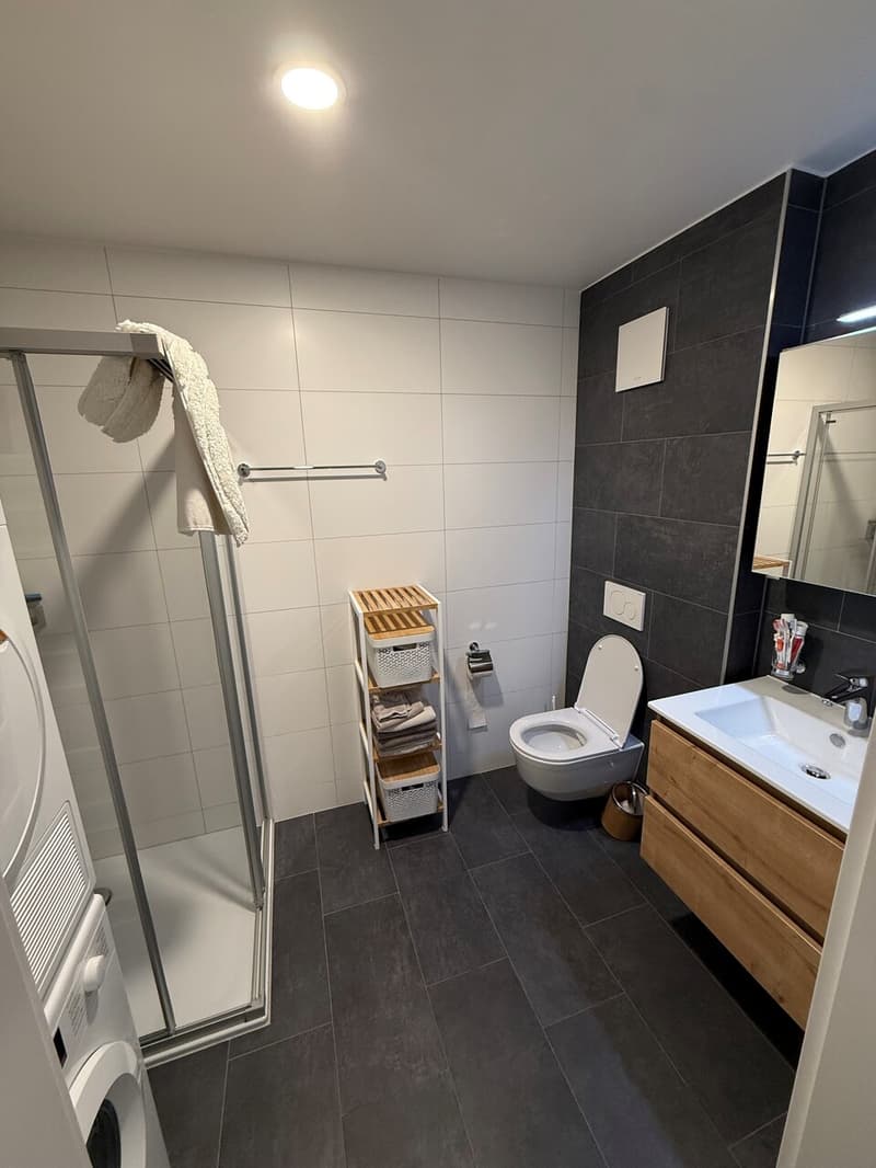 Schönes Apartment in Farvagny, 2.5 Zimmer mit großem Balkon (4)