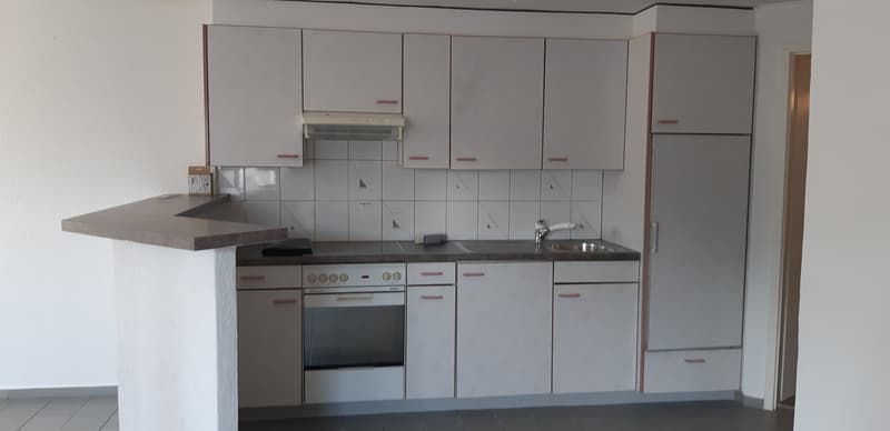 Spacieux appartement de 1 pièce (4)