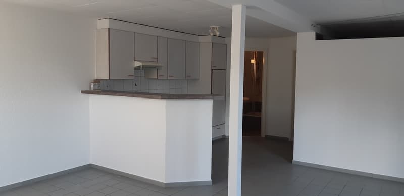 Spacieux appartement de 1 pièce (3)