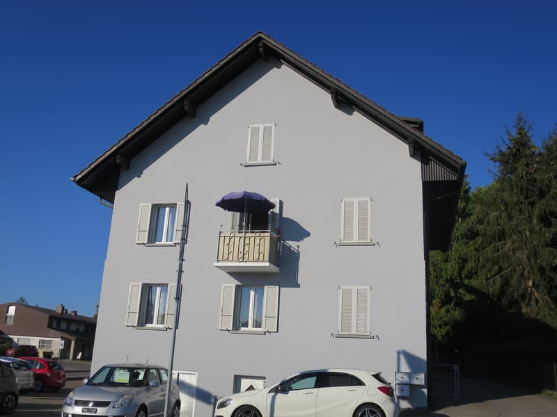 Spacieux appartement de 1 pièce (1)