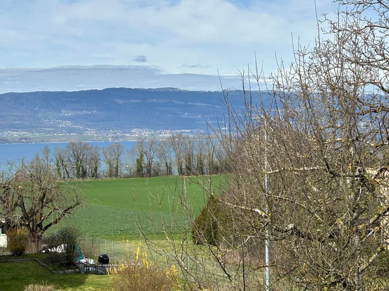 Estavayer /  Forel A vendre superbe 3.5 pièces Avec vue lac et Jura (4)