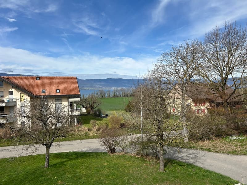 Estavayer / Forel For sale superb 3.5 rooms With lake and Jura view (5)