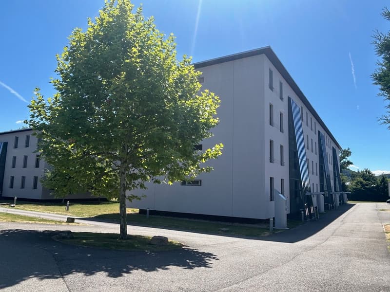 Estavayer-le-Lac A vendre superbe 3.5 pièces Disponible de suite ! (5)