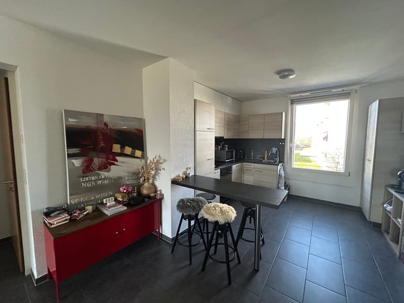 Estavayer-le-Lac A vendre superbe 3.5 pièces Disponible de suite ! (9)