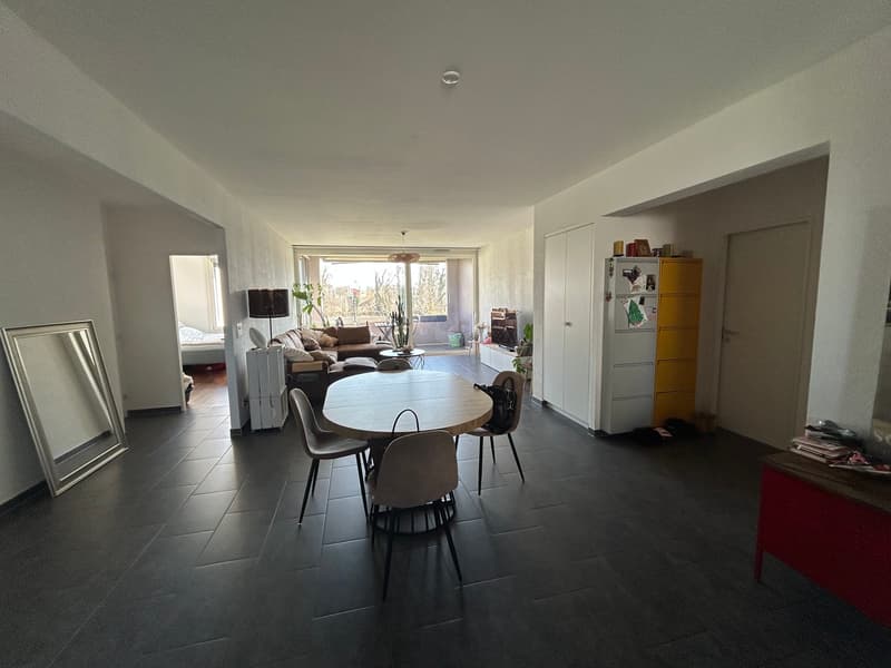 Estavayer-le-Lac A vendre superbe 3.5 pièces Disponible de suite ! (8)