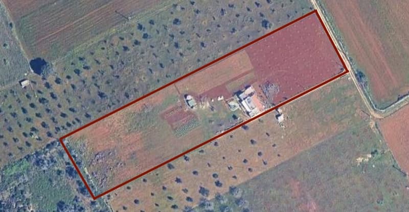 Salve, belle maison avec 10'000 m2 de terrain A 5 minutes de la mer ! (3)