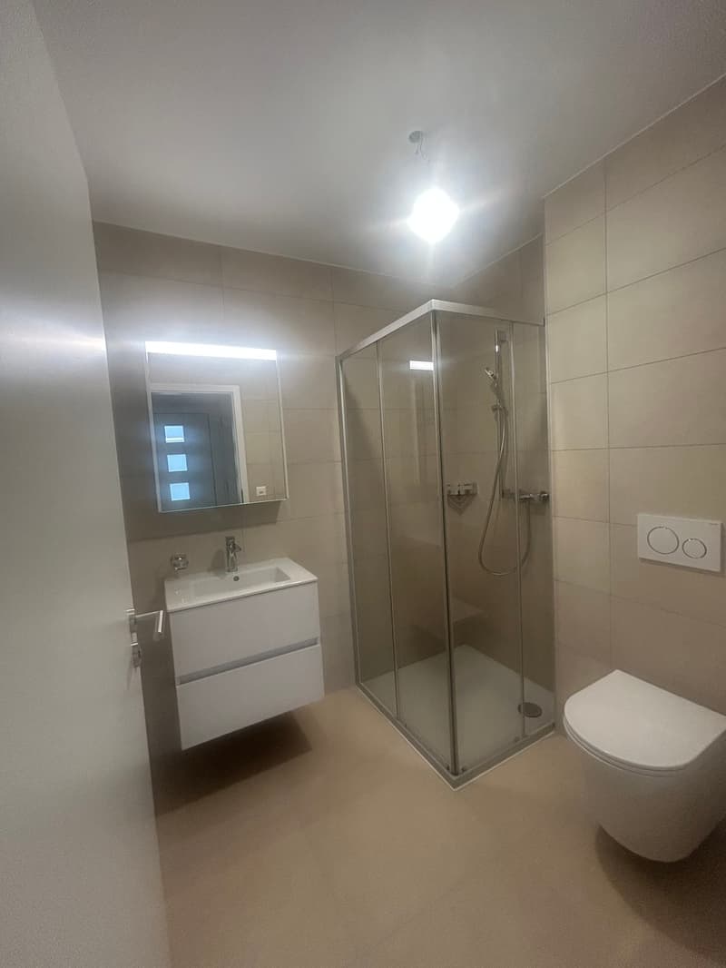 DERNIERE VILLA DISPONIBLE GLETTERENS A VENDRE VILLA CONTIGÜE (8)