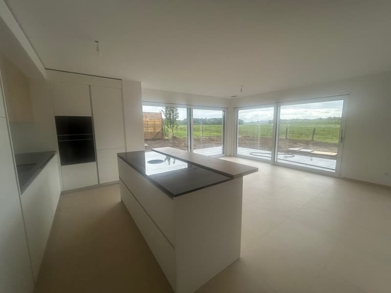 DERNIERE VILLA DISPONIBLE GLETTERENS A VENDRE VILLA CONTIGÜE (2)