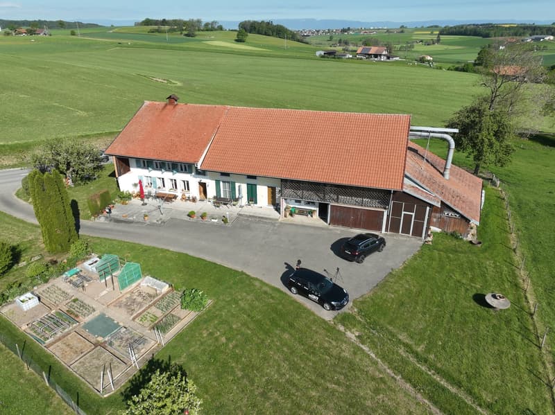 Individual farm in the heart of a preserved nature (4)