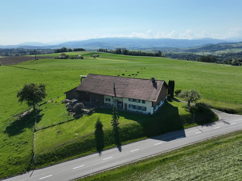 Individual farm in the heart of a preserved nature (7)
