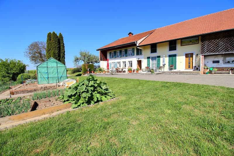 Individual farm in the heart of a preserved nature (1)