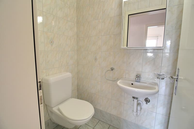 Bel appartement en attique de 4.5 pièces (13)