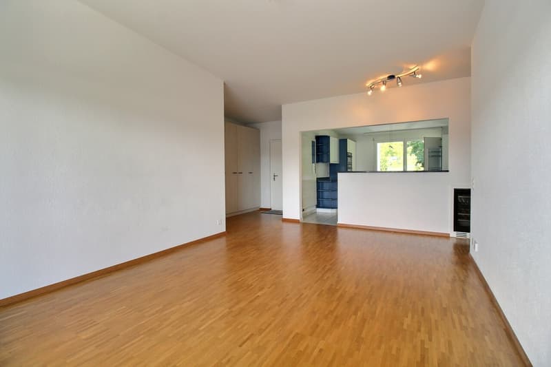 Bel appartement en attique de 4.5 pièces (5)