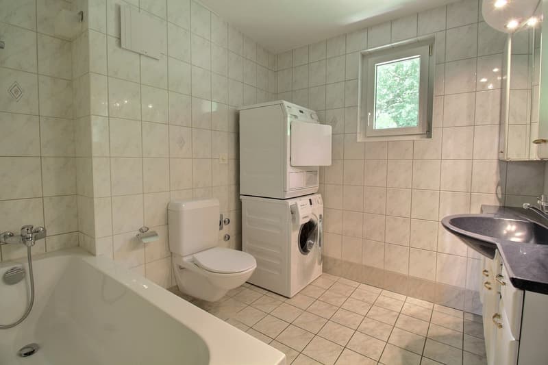 Bel appartement en attique de 4.5 pièces (6)