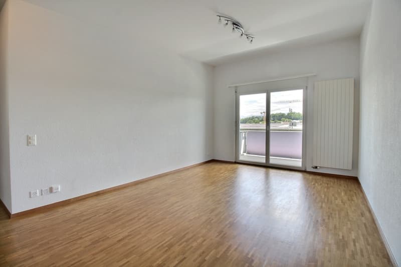 Bel appartement en attique de 4.5 pièces (5)