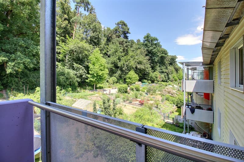 Bel appartement en attique de 4.5 pièces (3)