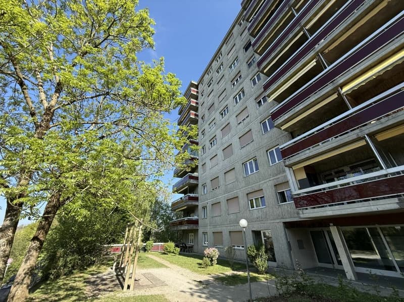 Spacieux appartement familial avec beau potentiel (16)