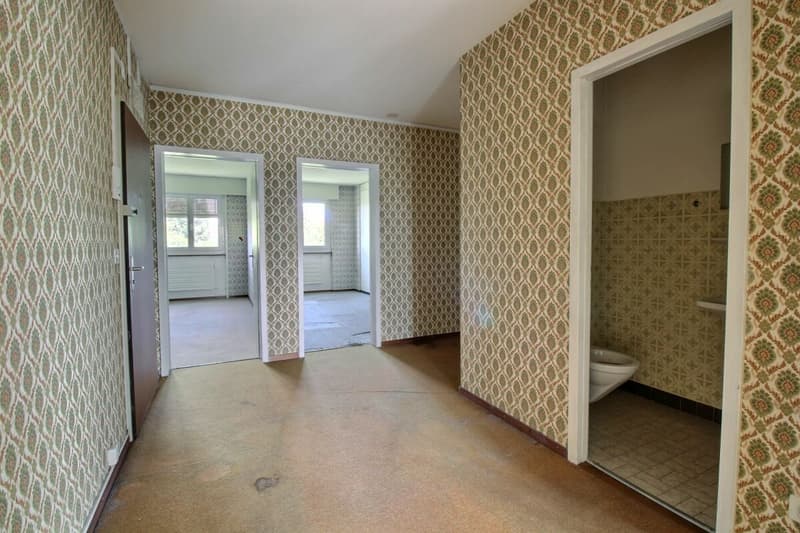 Spacieux appartement familial avec beau potentiel (14)