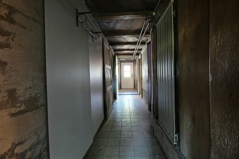 Ferme du Château (35)