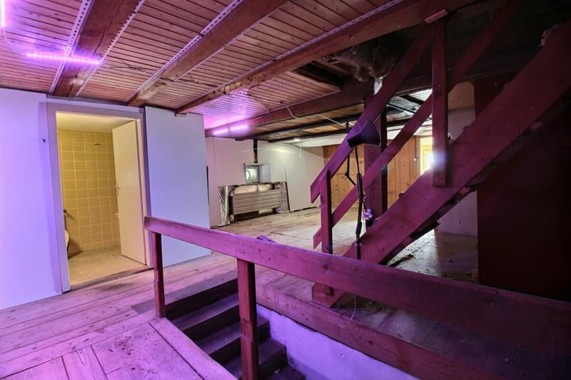 Ferme du Château (31)
