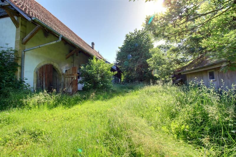 Ferme du Château (3)