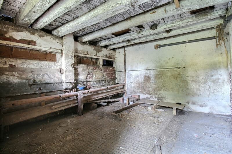 Ferme du Château (15)