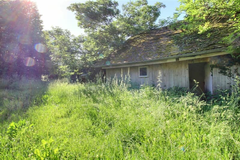 Ferme du Château (14)