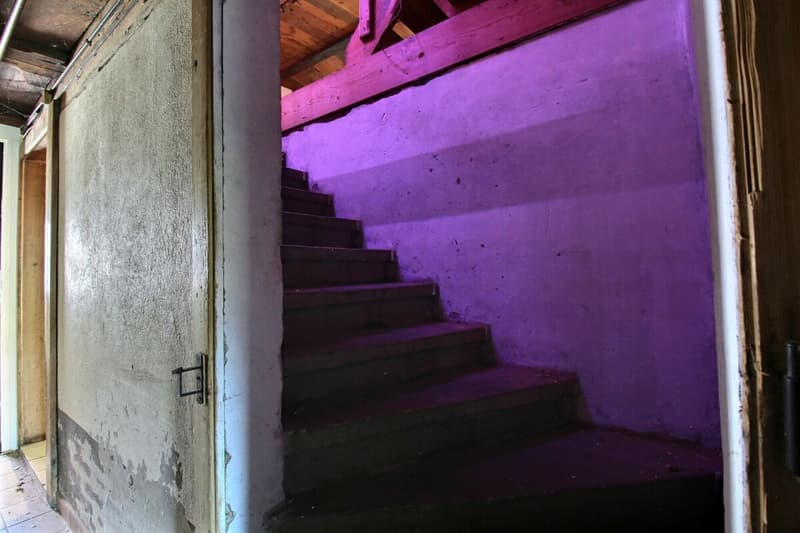Ferme du Château (33)