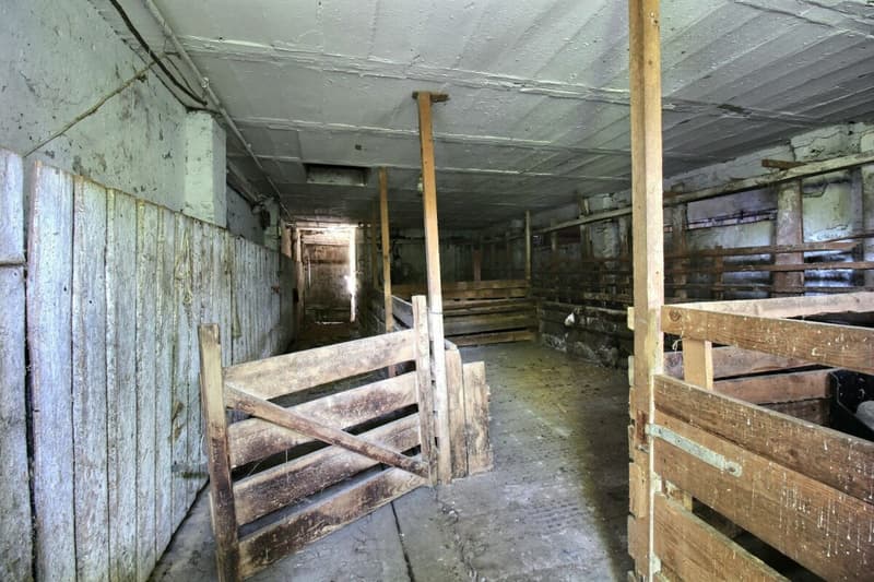 Ferme du Château (8)