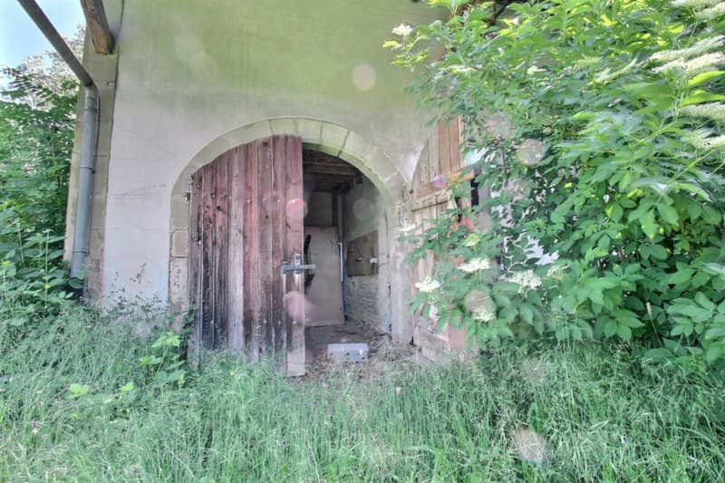 Ferme du Château (6)