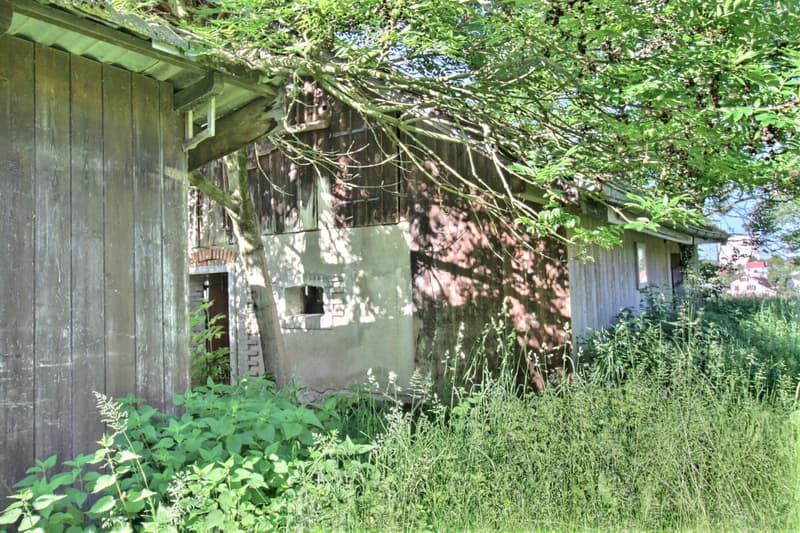 Ferme du Château (7)