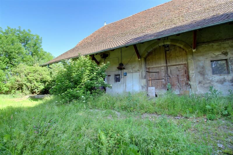 Ferme du Château (12)