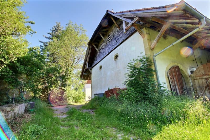 Ferme du Château (5)