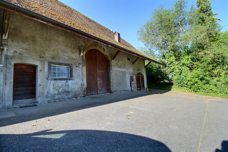 Ferme du Château (41)