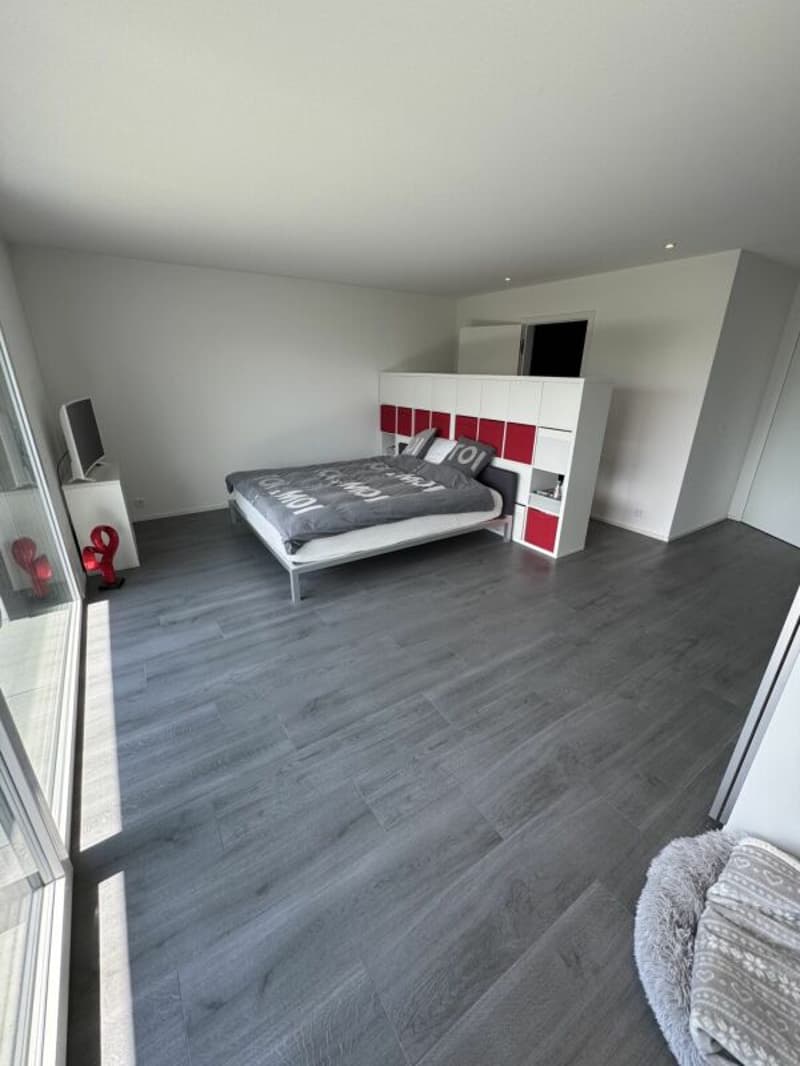 Luxe, espace et sérénité face au Moléson (5)