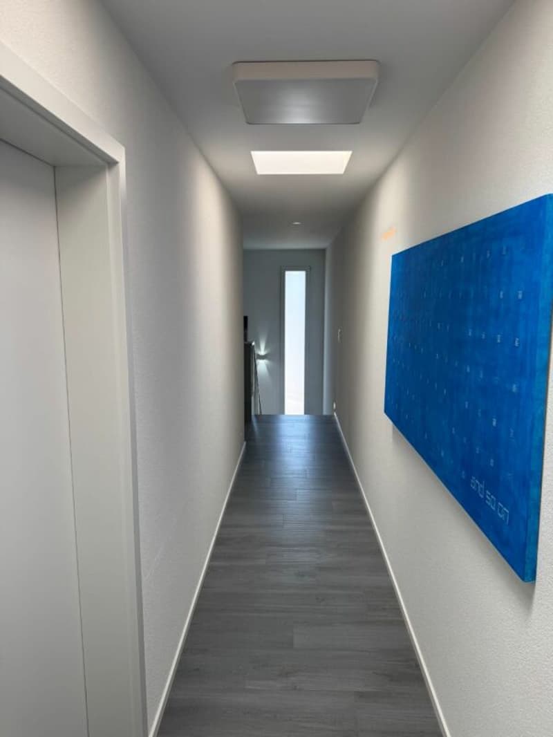 Luxe, espace et sérénité face au Moléson (7)