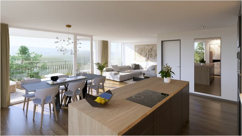 Appartement 2.5 nouvelle promotion (1)