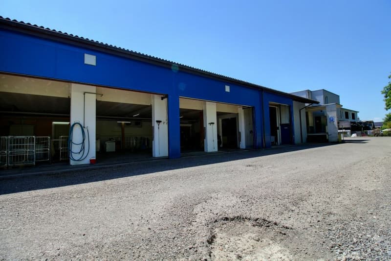 Espace commercial (39)