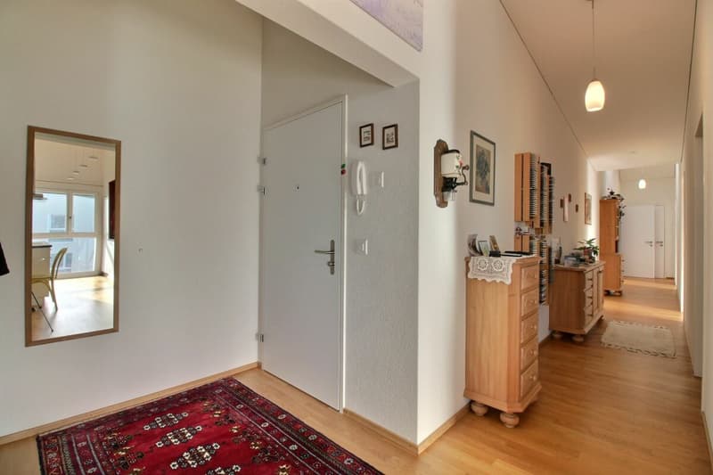 Appartement 4.5 en PPE (2)
