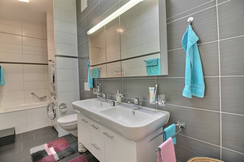 Appartement 4.5 en PPE (5)